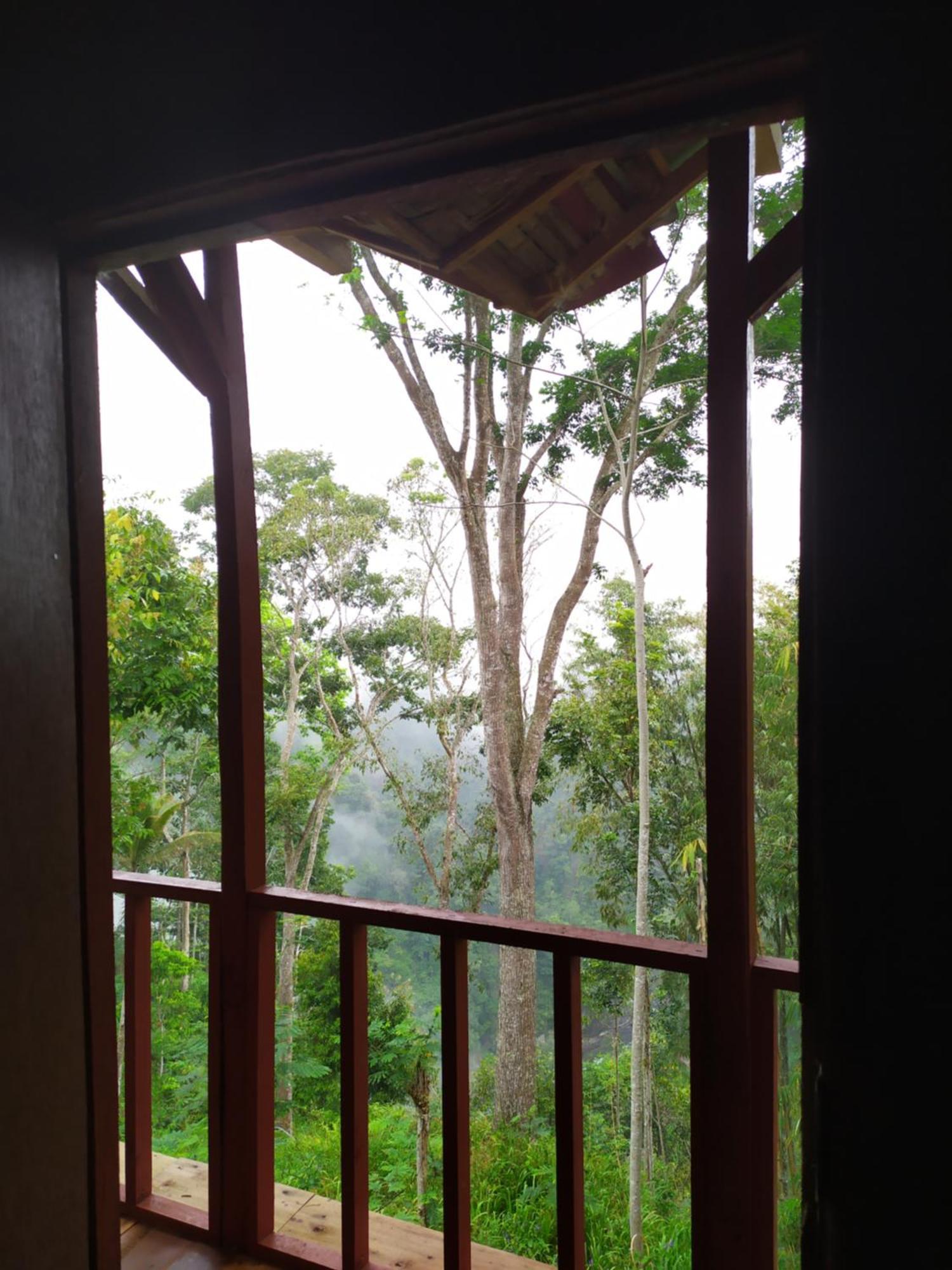 Happy Monkeys Village Sidomukti 外观 照片