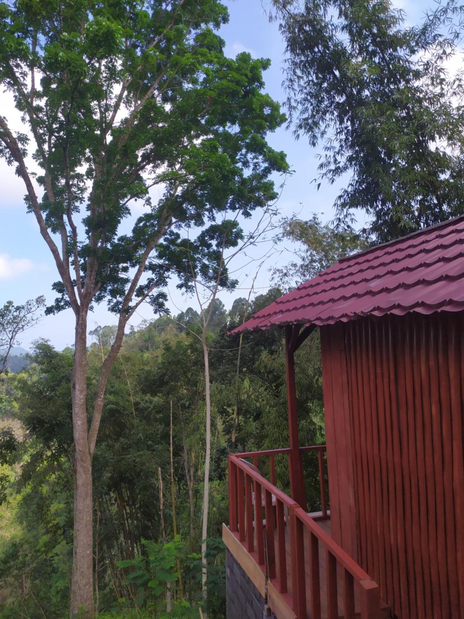 Happy Monkeys Village Sidomukti 外观 照片